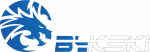 Bykski